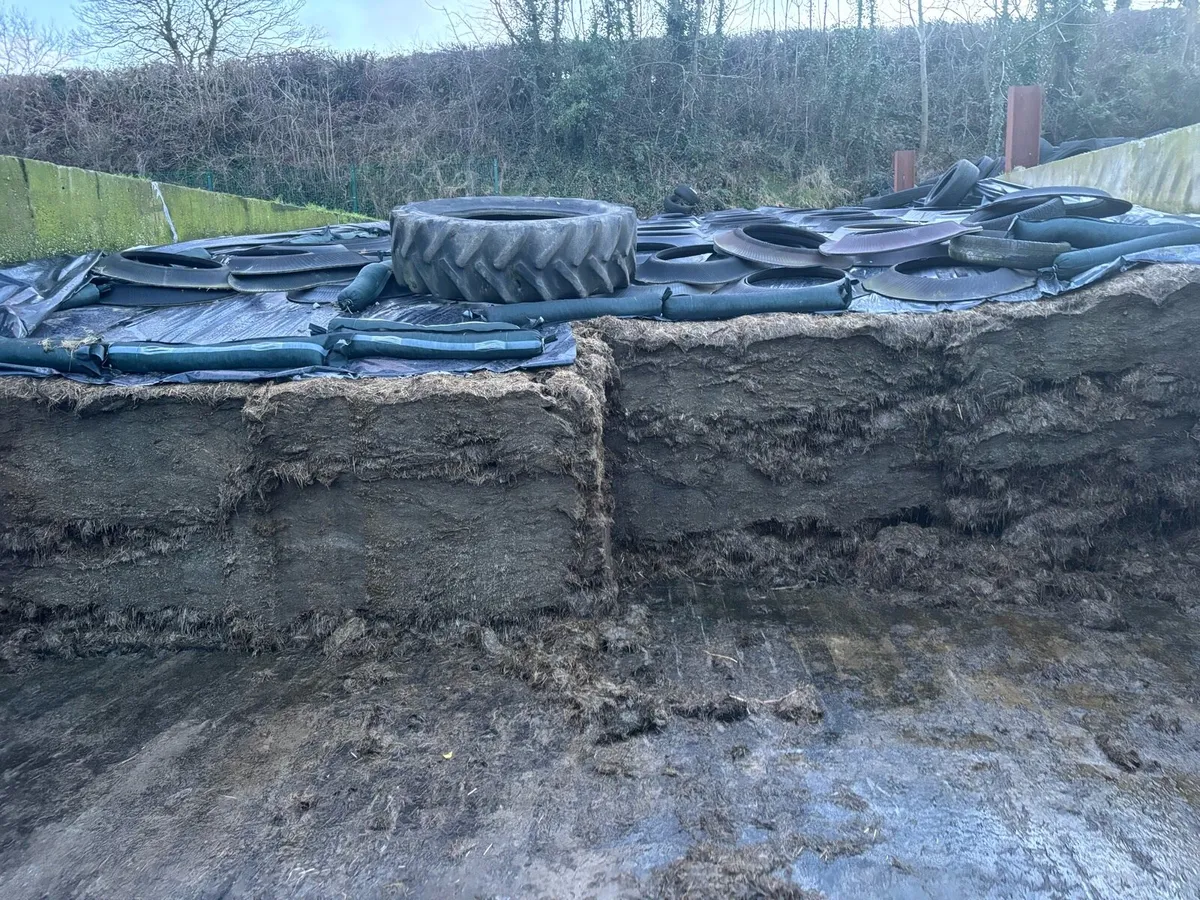 Silage - Image 1