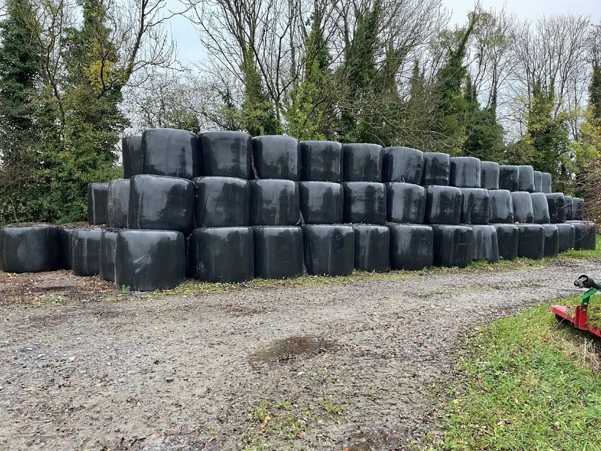 Silage Bales - Image 1