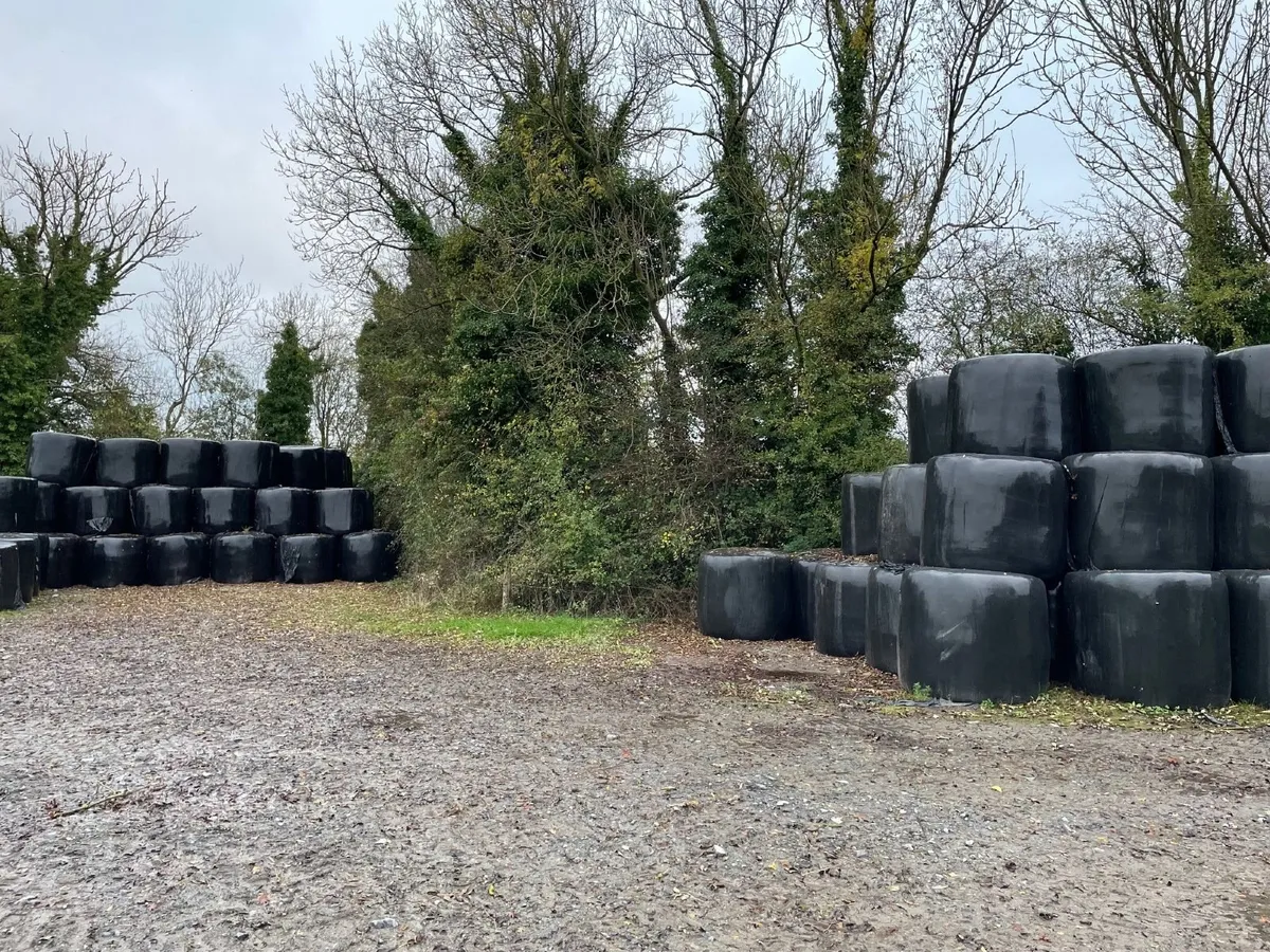 Silage Bales - Image 2