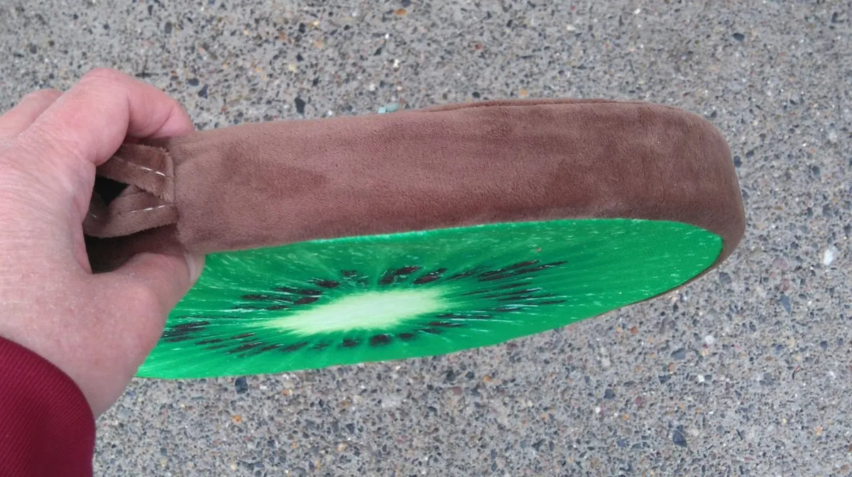 Round Flat Kiwi Cushion (brand New). - Image 2