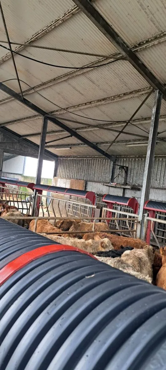 SWING DOWN TROUGHS - Image 3