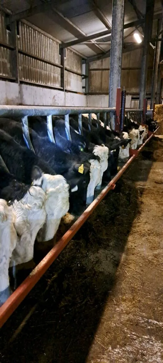 SWING DOWN TROUGHS - Image 4