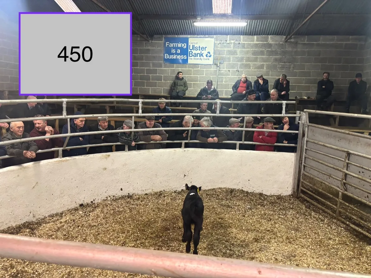 ⚠️🐂⚠️ORGANIC SALE  CLONES  MART⚠️🐂⚠️ - Image 2