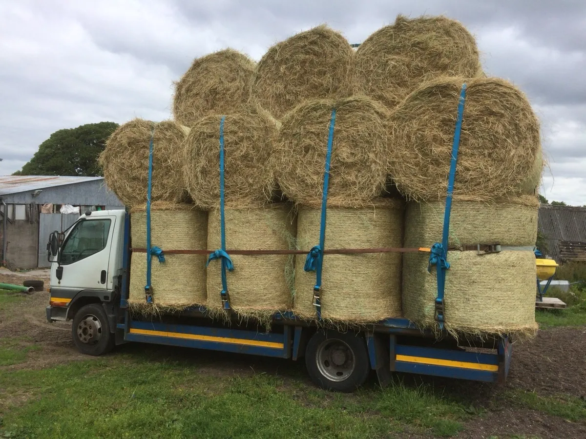 Top quality Hay and Haylage delivered - Image 1