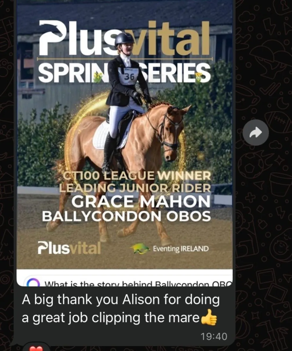 Clipping/Plaiting Service - Image 4