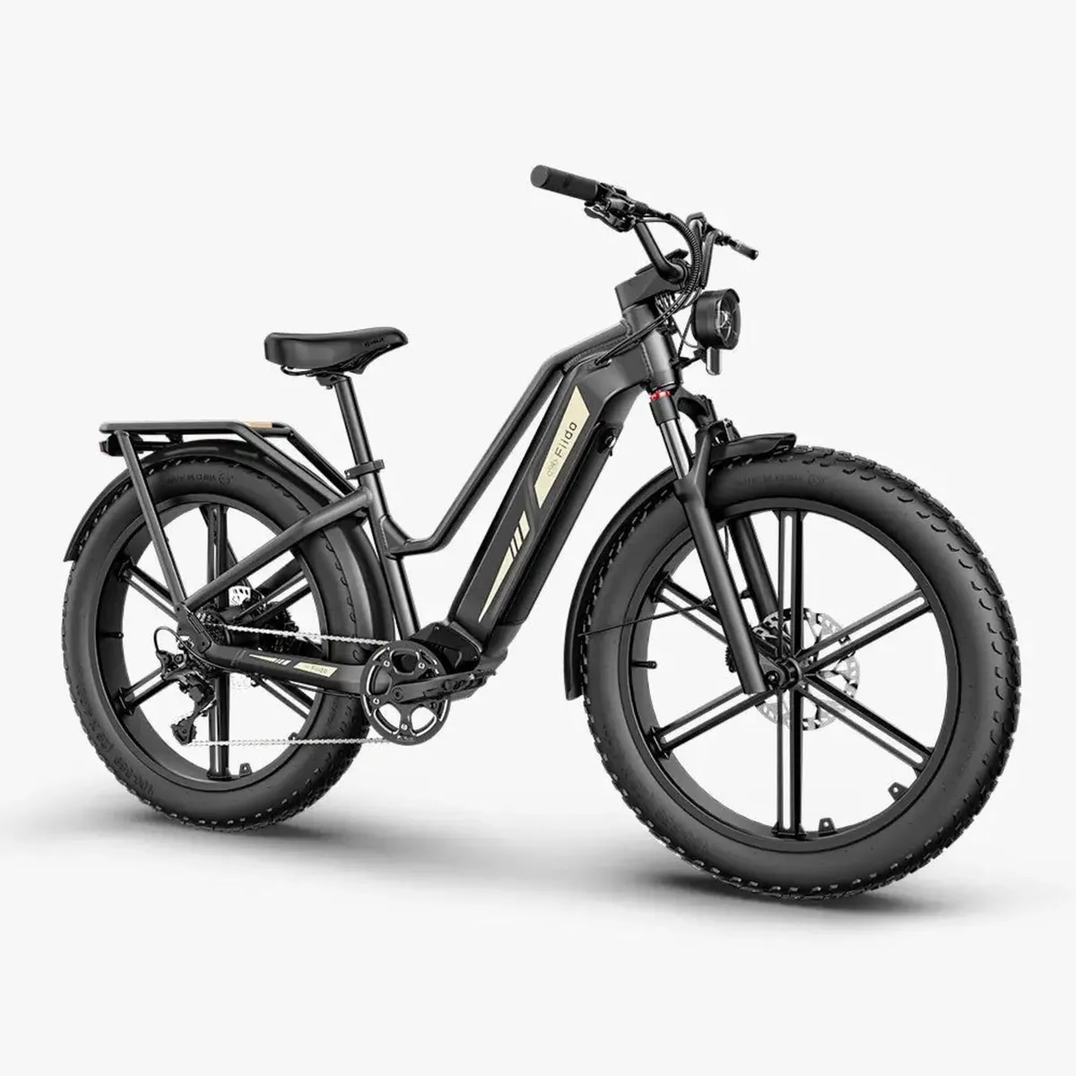FIIDO Titan Cargo Electric Bike for today