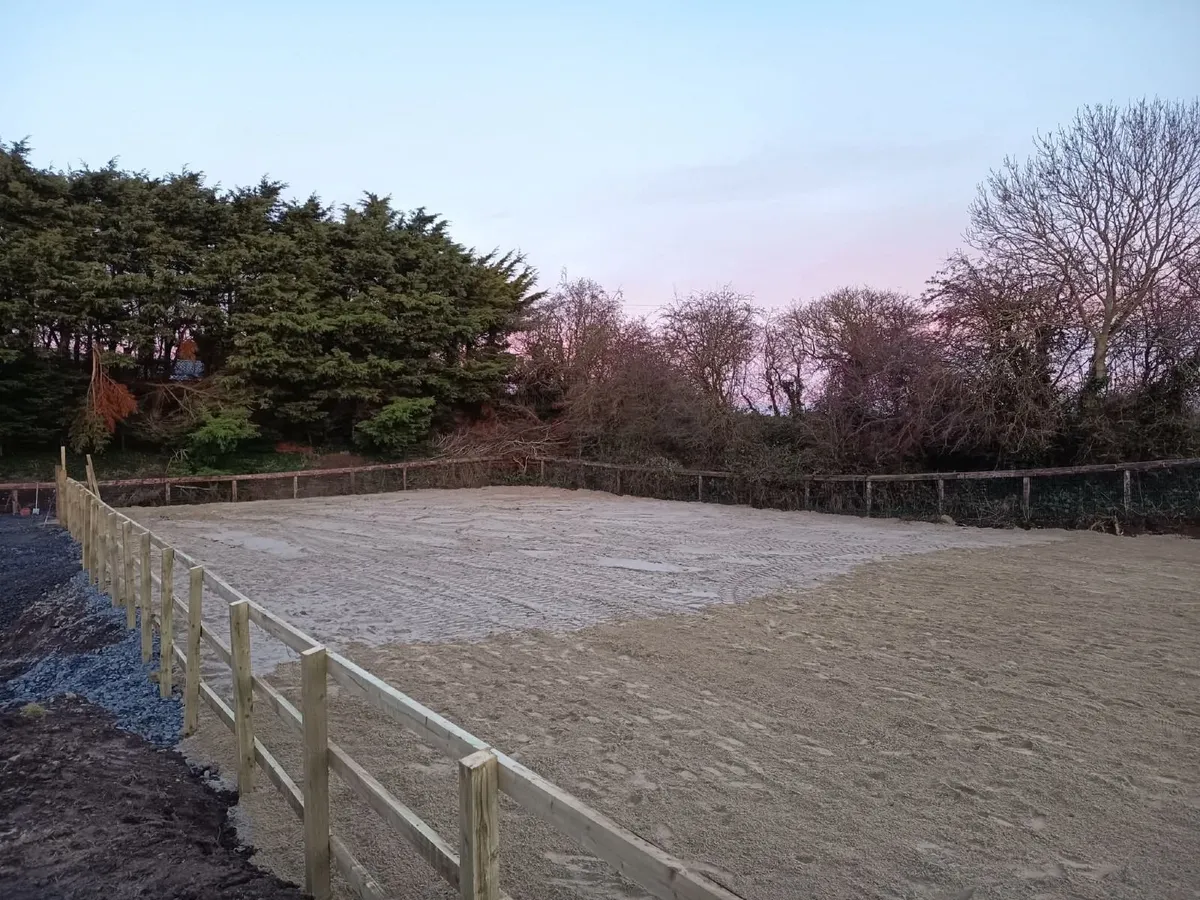 Arena Construction – Built Start to Finish - Image 2