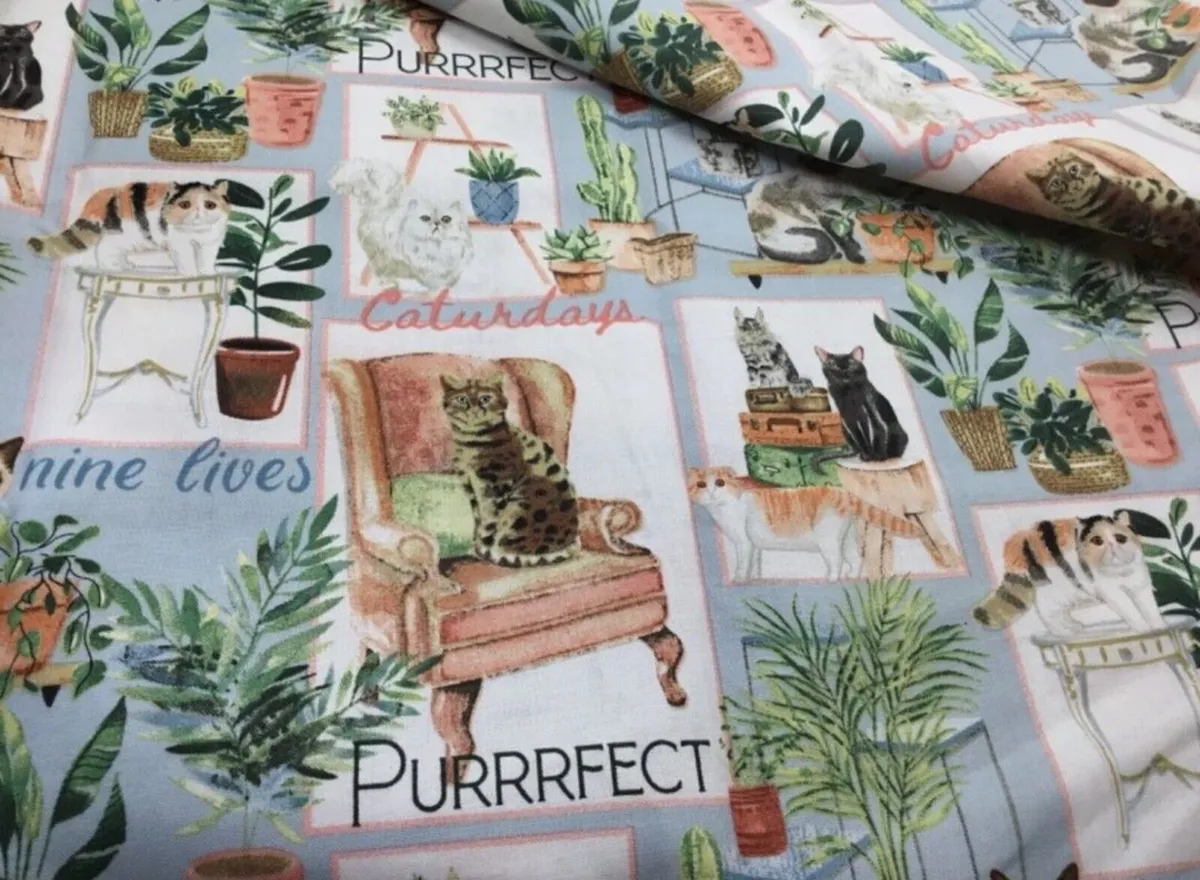 Gorgeous Cat Fabric 3 x Metres - Image 1
