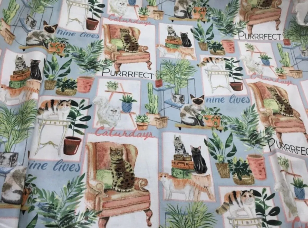 Gorgeous Cat Fabric 3 x Metres - Image 3