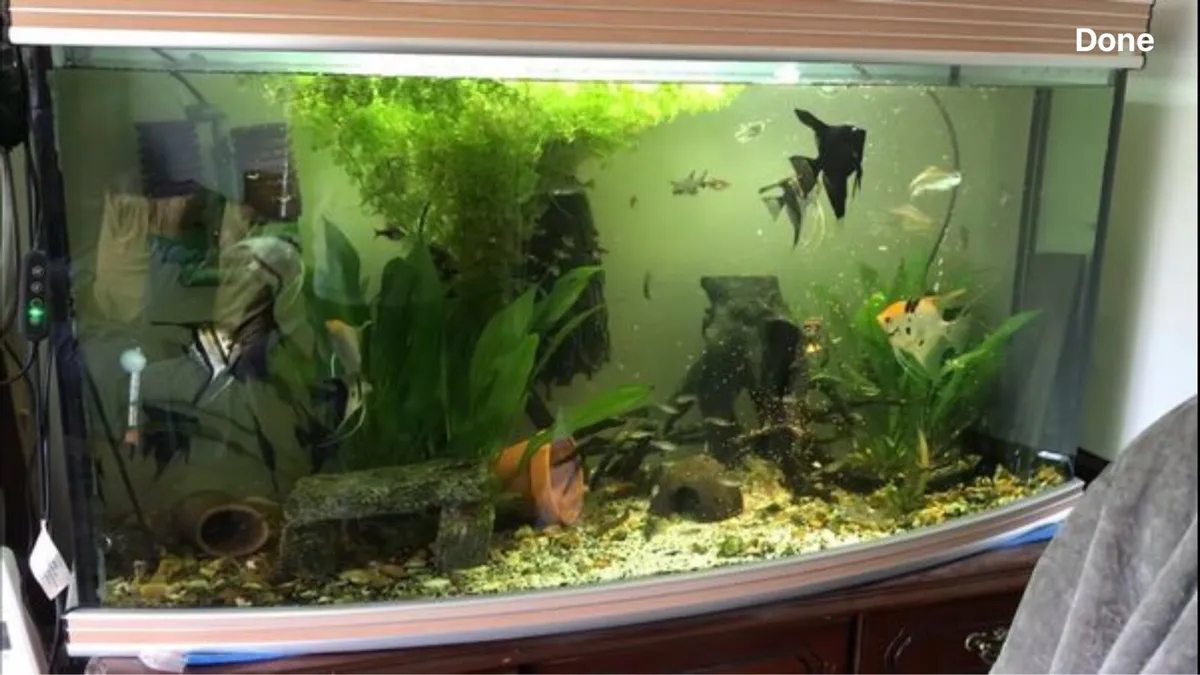 Fish tank 300ltr - Image 1
