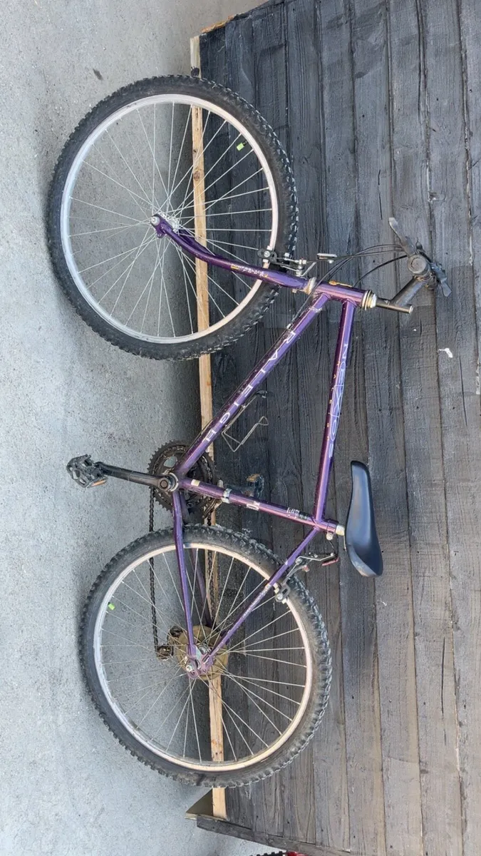 Raleigh bike for sale - Image 4