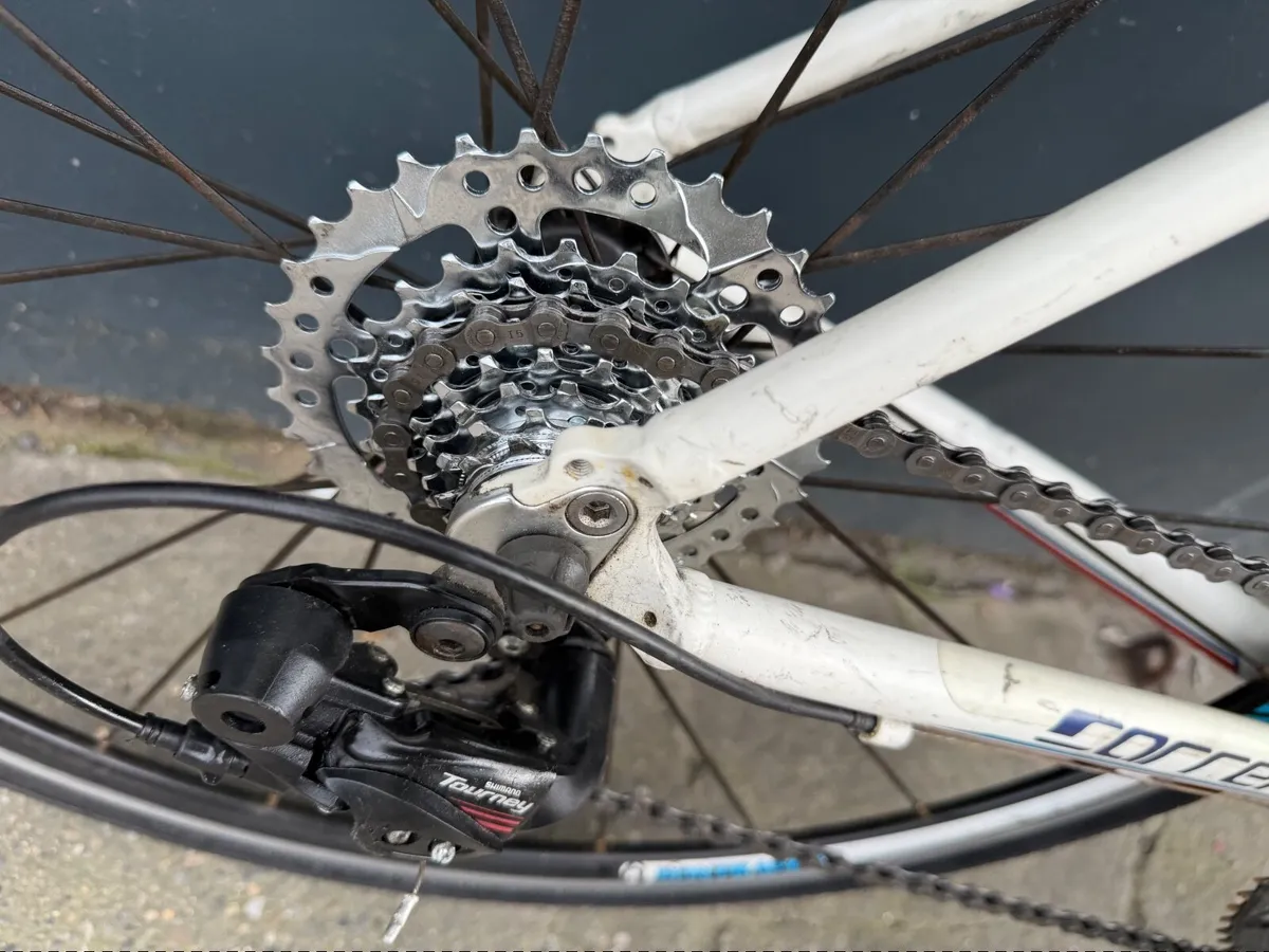 Carrera karkinos ❗️Open 7 days of the week - Image 3