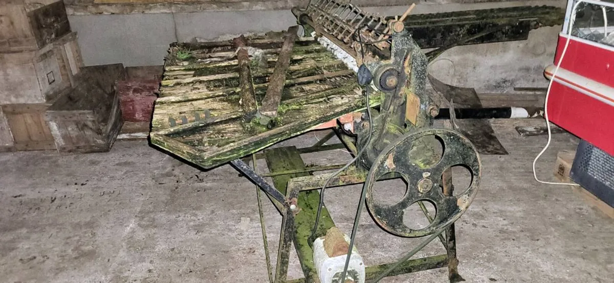 Vintage  egg grading machine