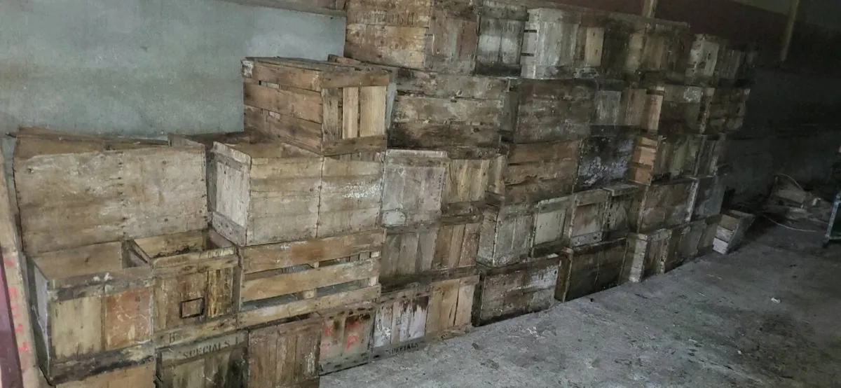 Timber egg boxs - Image 2