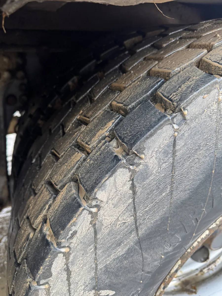 Scania Beavertail - Image 4