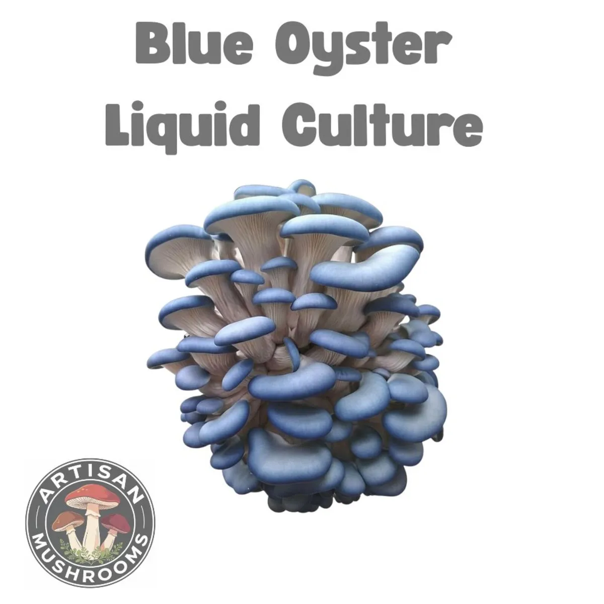 🍄Gourmet Mushroom Cultures - 25+ Varieties🍄 - Image 1