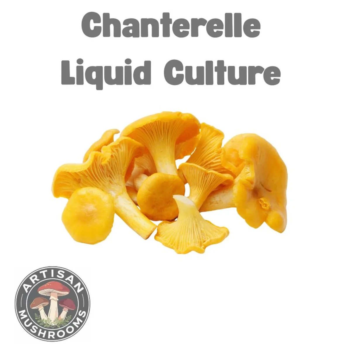 🍄Gourmet Mushroom Cultures - 25+ Varieties🍄 - Image 3