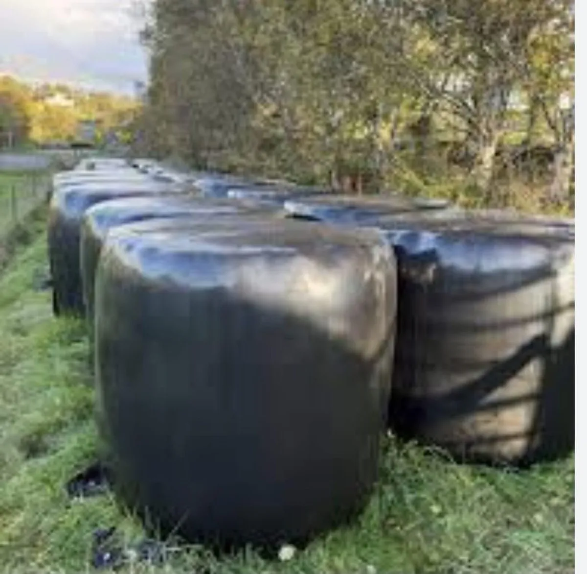 Round Bales