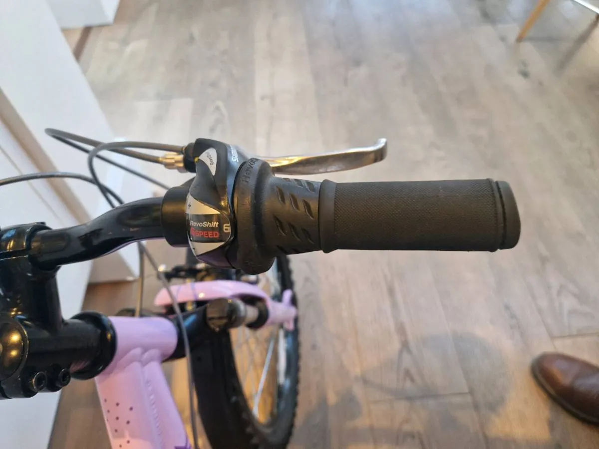 childrens 20 inch bike, Ridgback and Squish 6-9yrs - Image 3