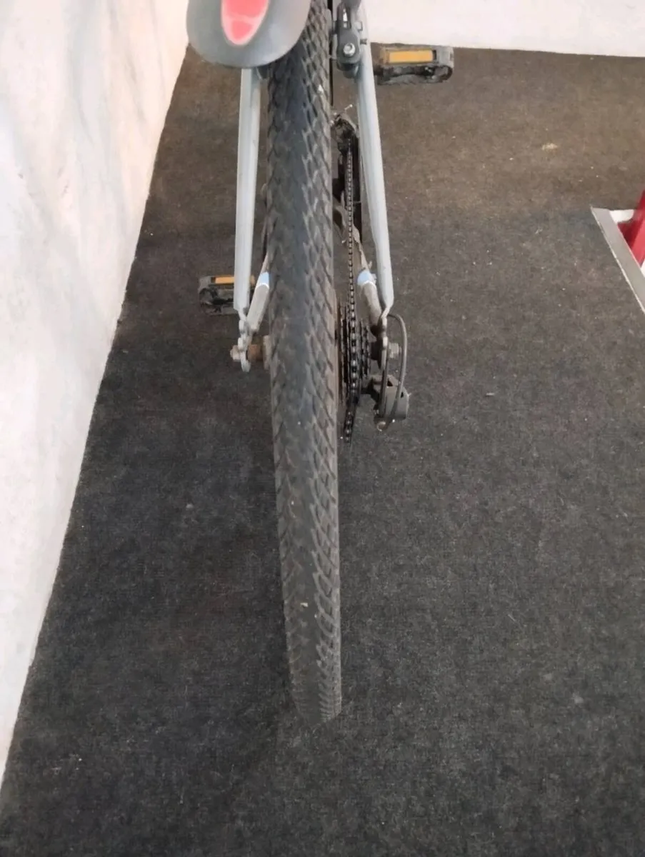 28inch hybrid - Image 4