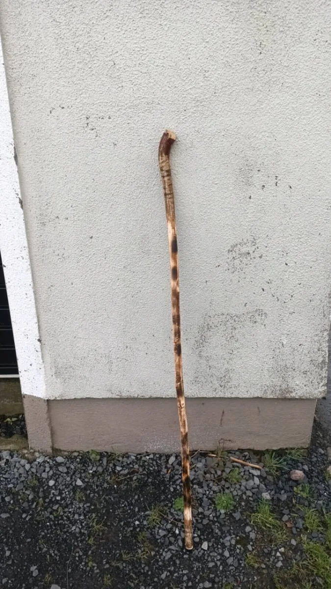 Hazal hiking pole - Image 1