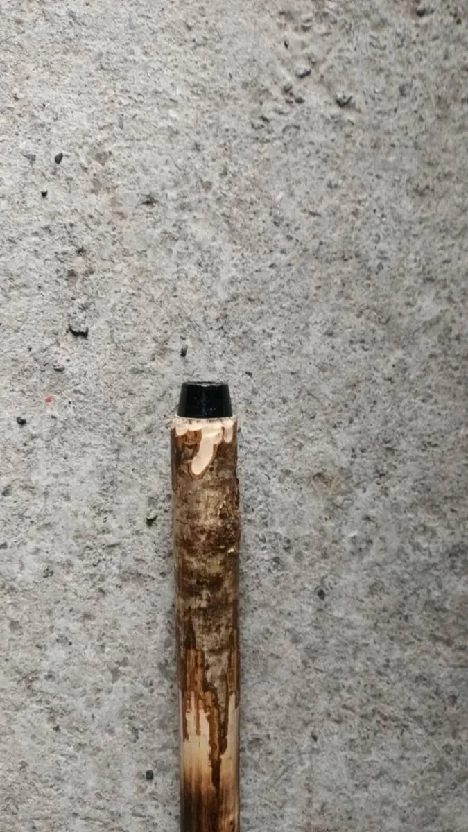 Hazal hiking pole - Image 2