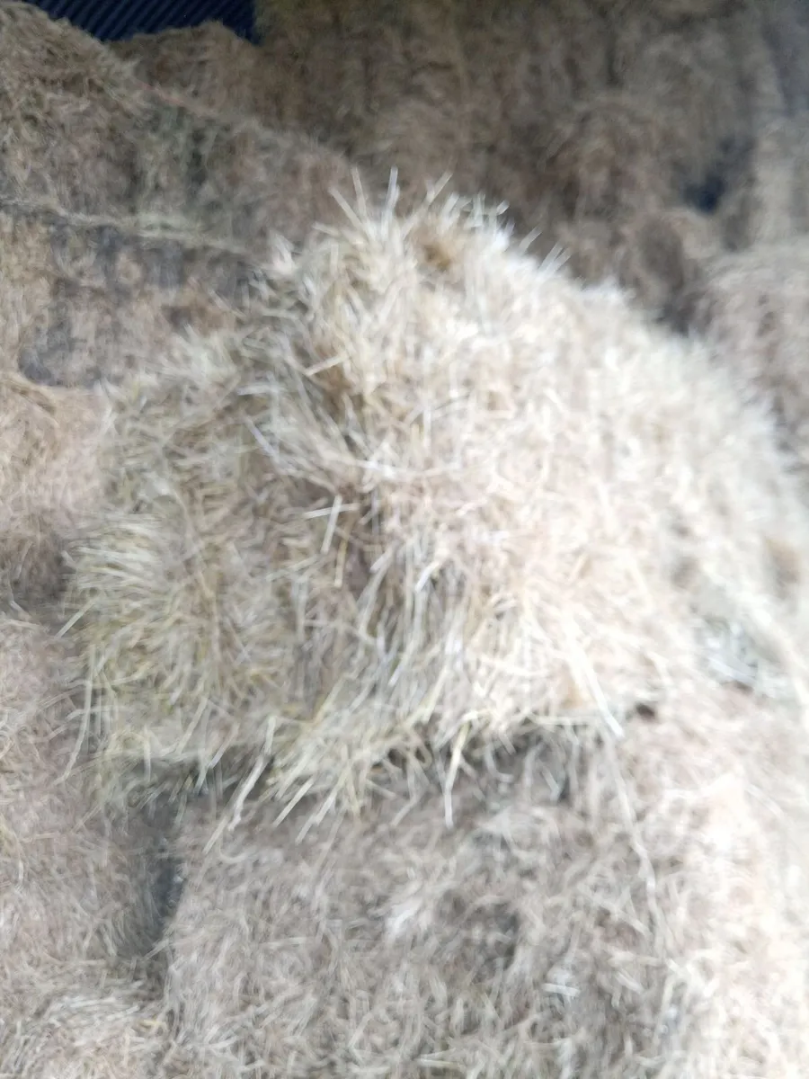 Hay/haylage - Image 2