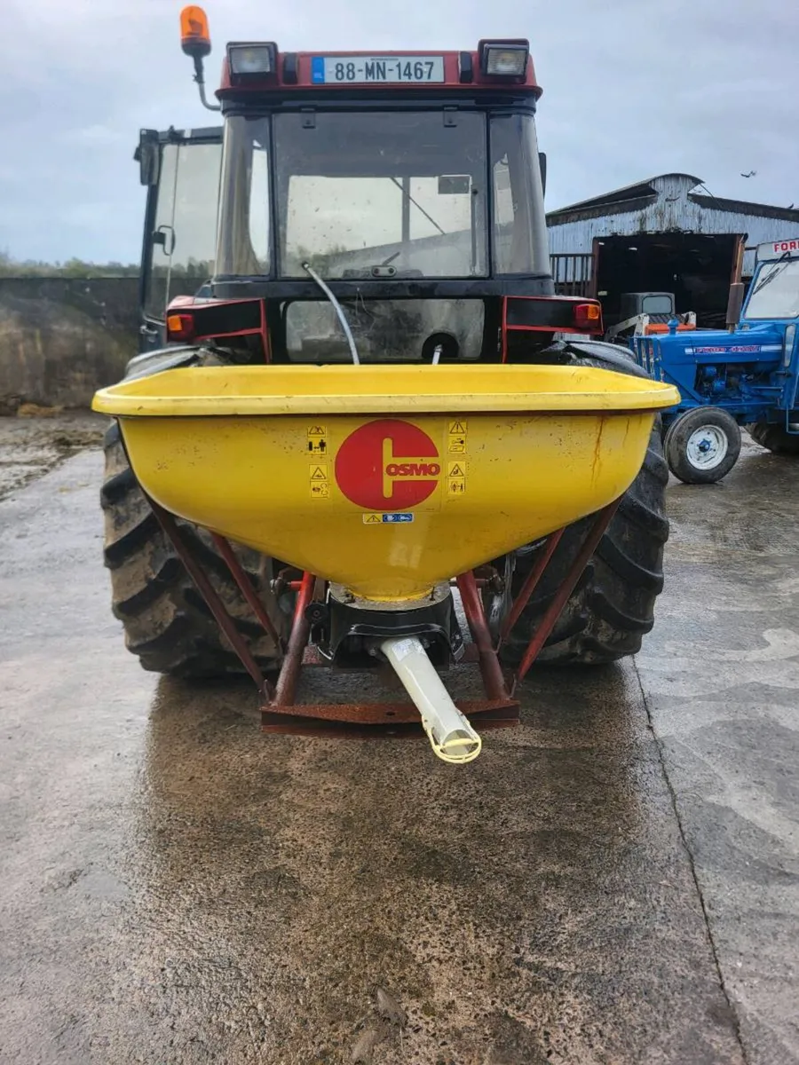 Cosmo wagtail - Image 1