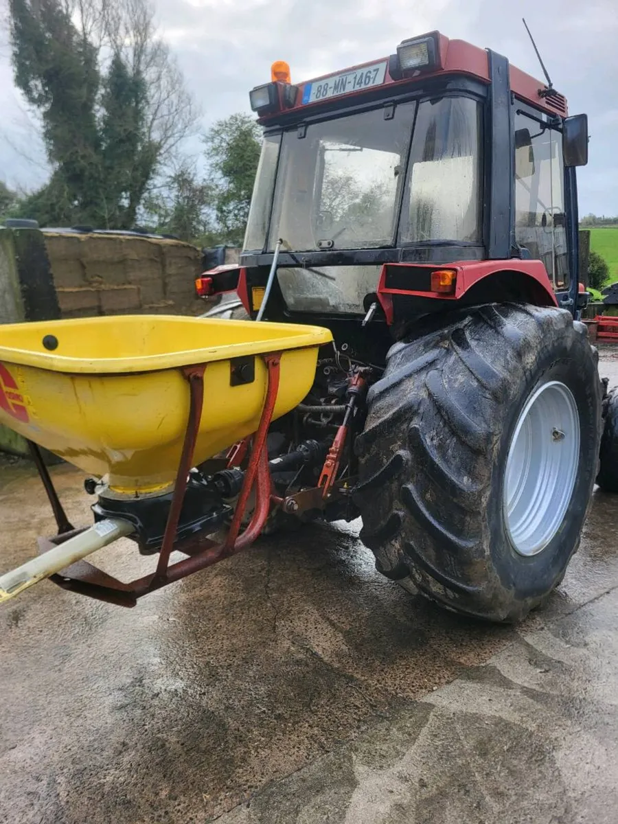 Cosmo wagtail - Image 3