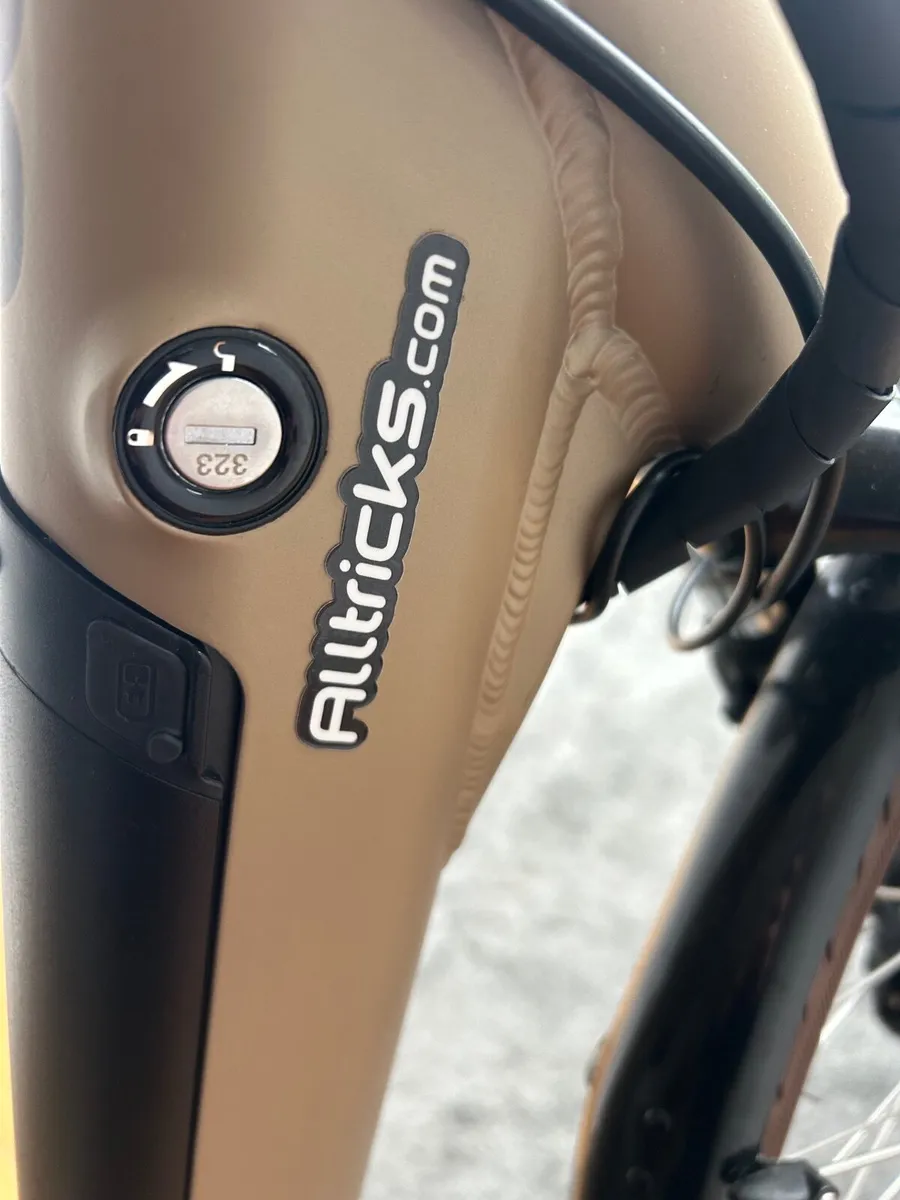 Ladies electric bike - Image 4