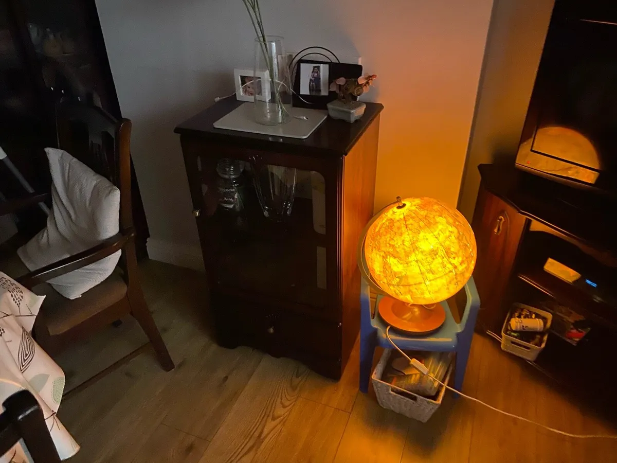 Globe light - Image 2