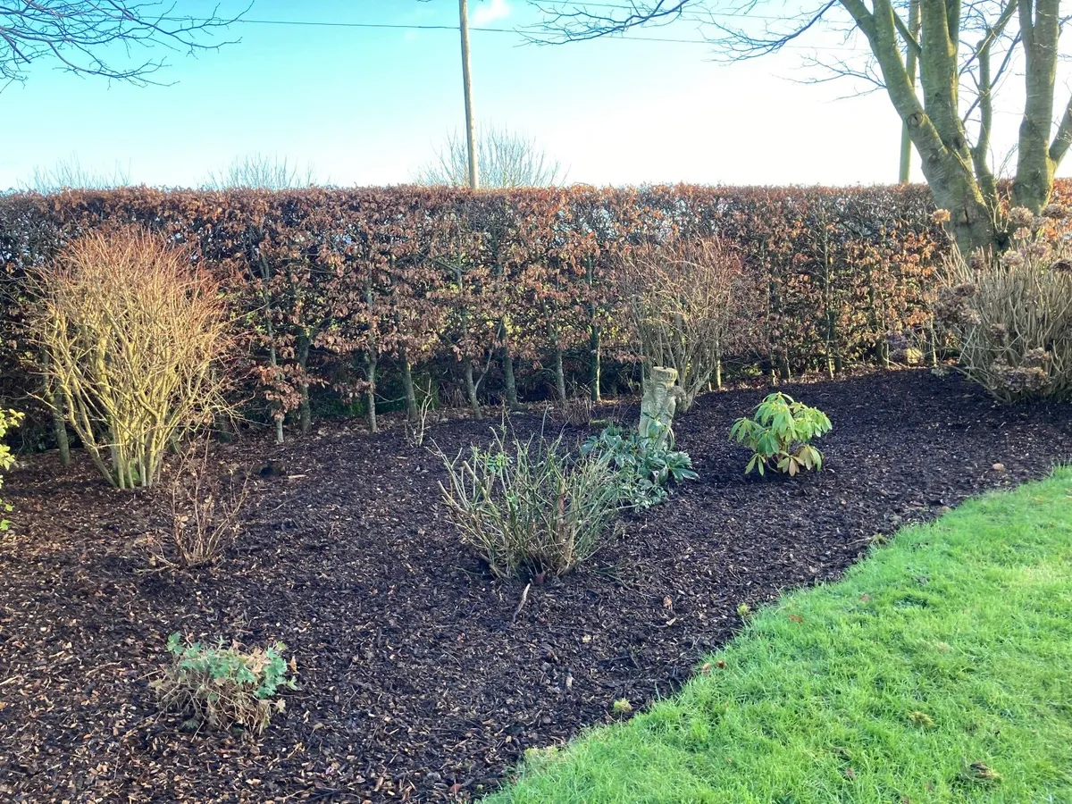 Bark mulch - Image 1