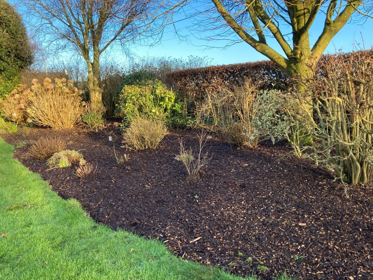 Bark mulch - Image 2