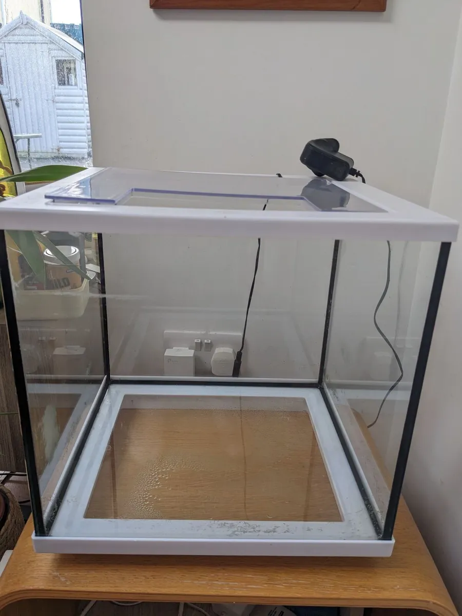 Fish Tank - Image 3