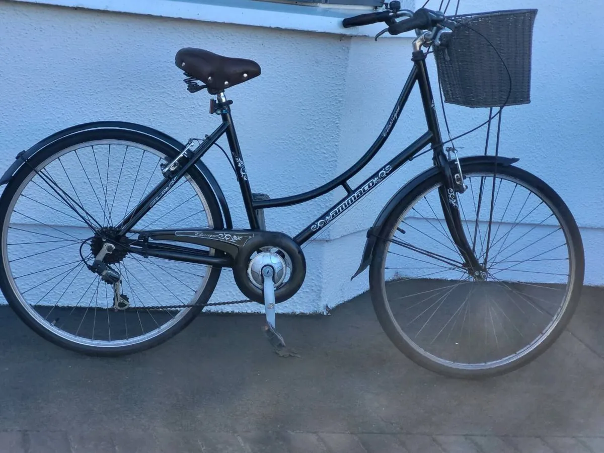 LADIES BIKE N BASKET - Image 1