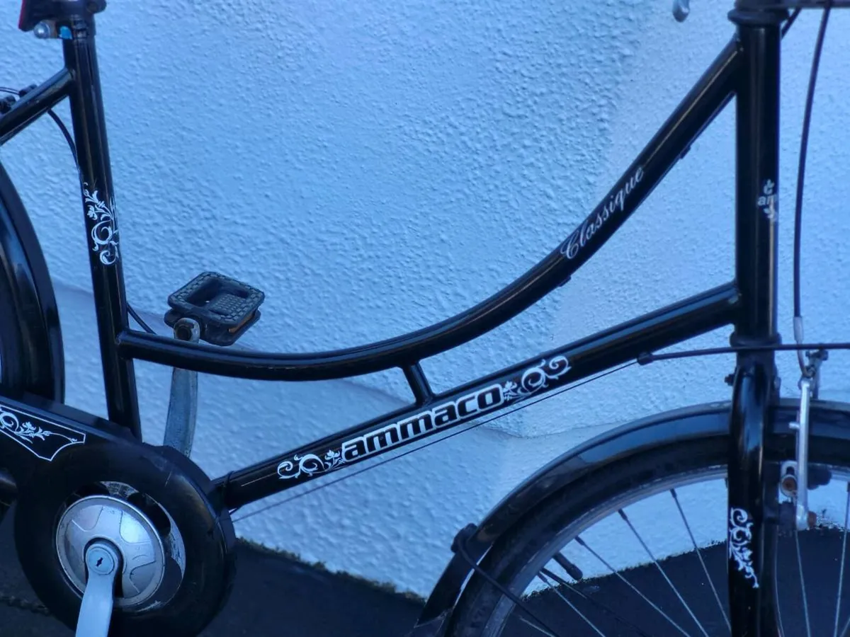 LADIES BIKE N BASKET - Image 2