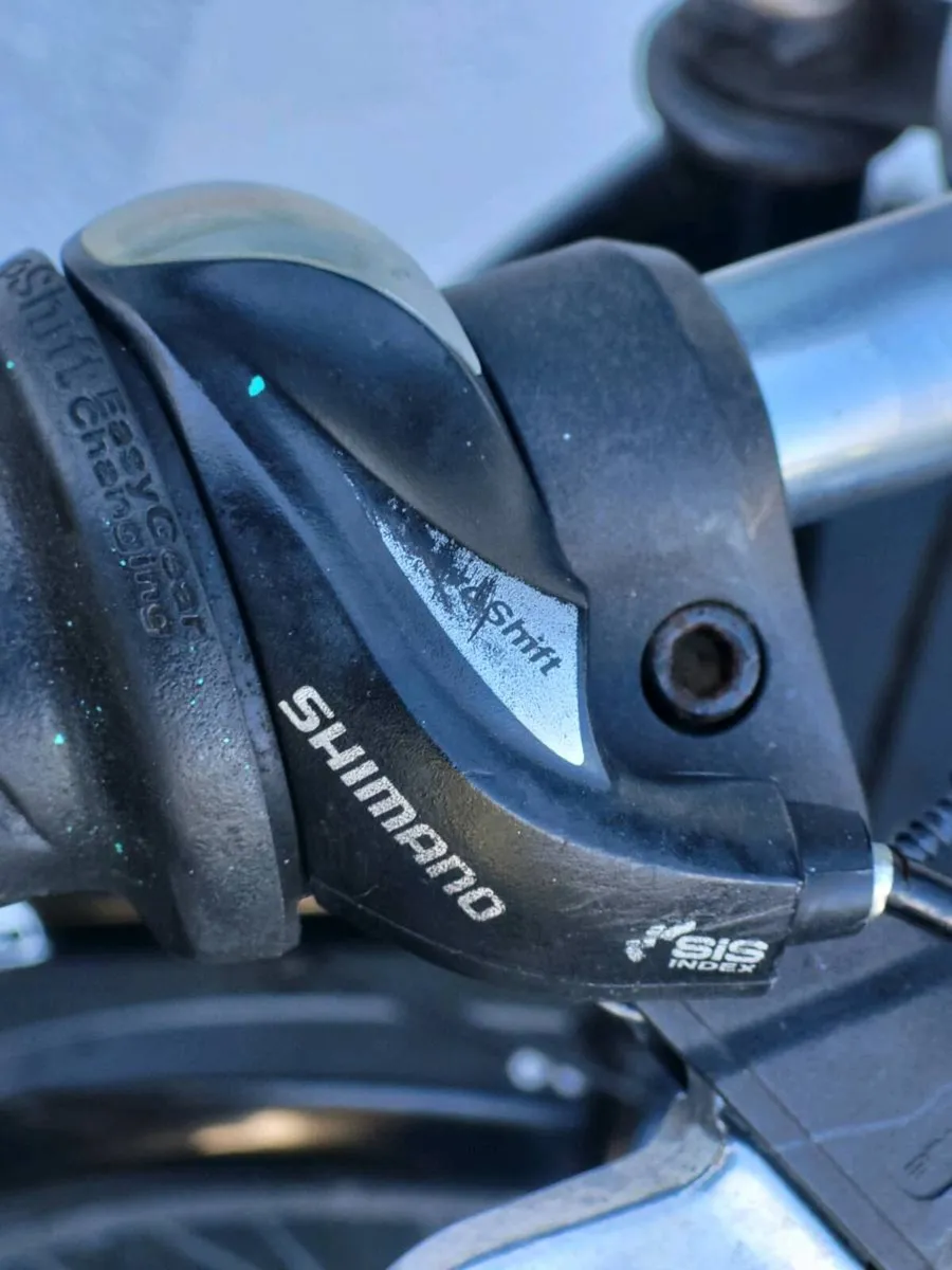 LADIES BIKE N BASKET - Image 4