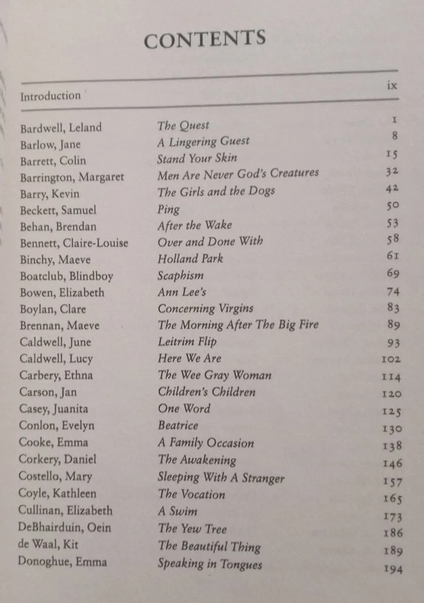 The Art of the Glimpse Irish Short Stories - Image 2