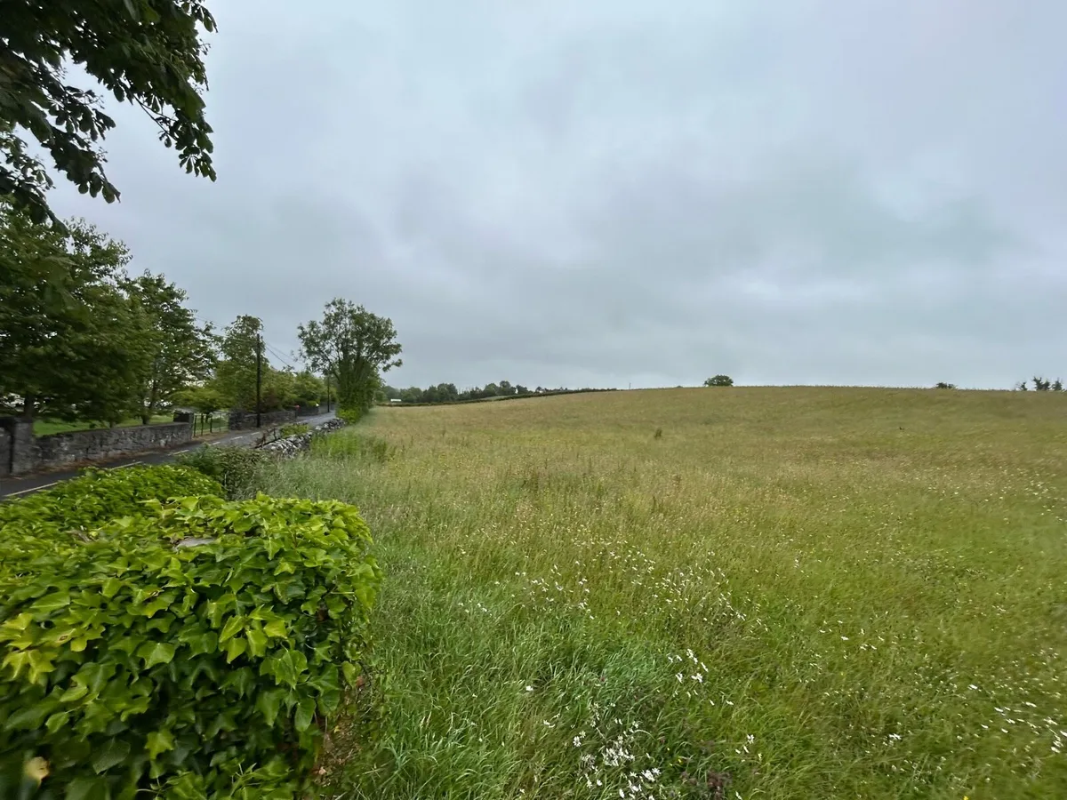 4 acre meadow   Grass - Image 1