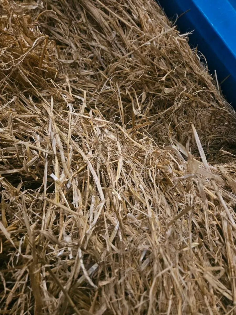 Barley straw and hay - Image 1