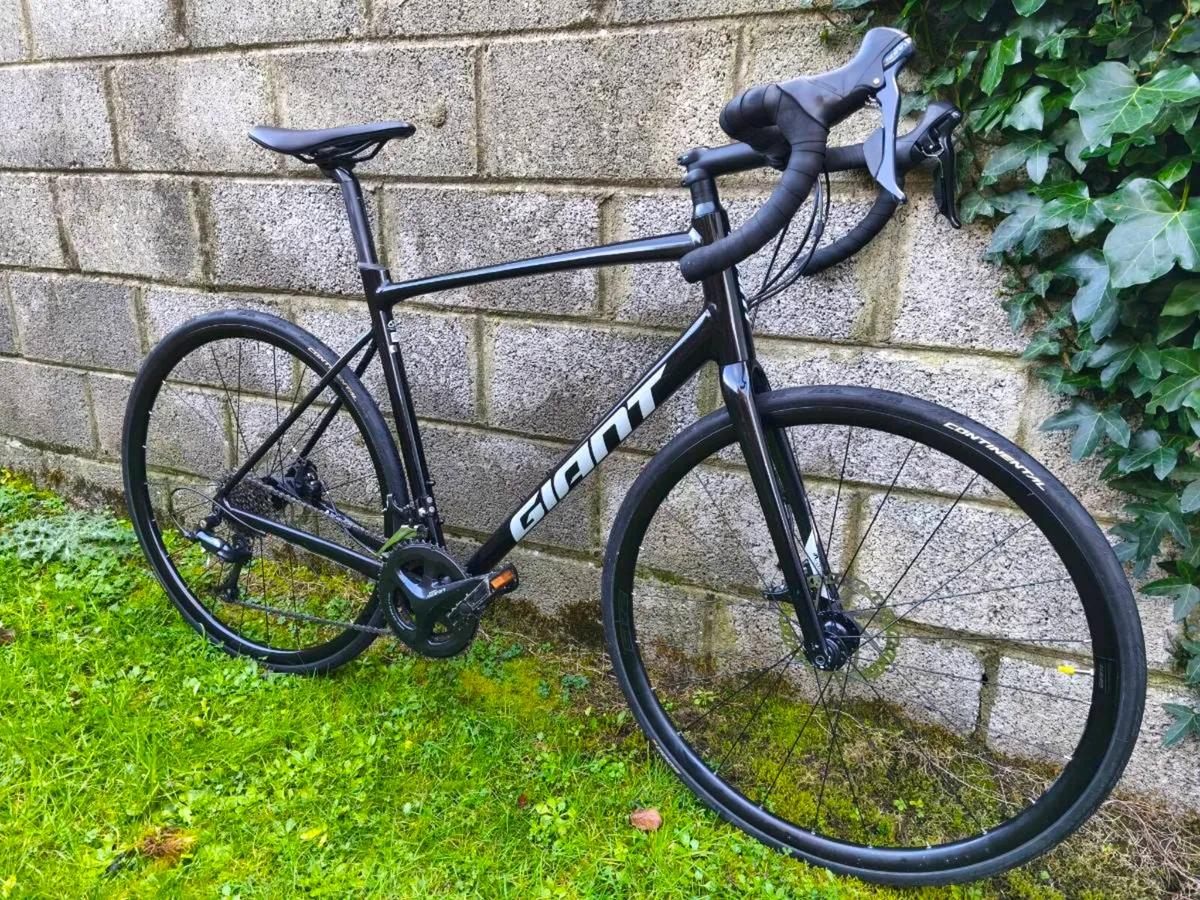 Giant Contend AR 3 disc size L - Image 2