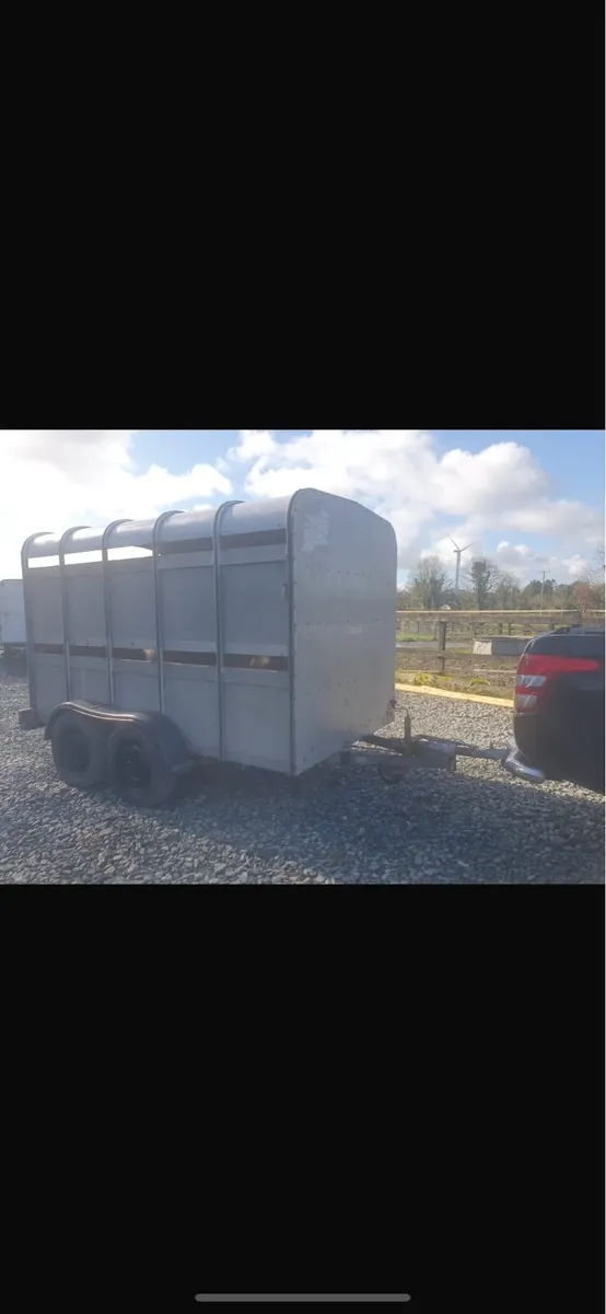 Iforwilliams cattle trailer - Image 1