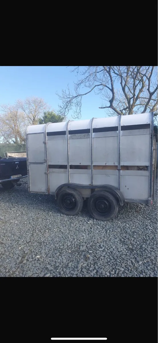 Iforwilliams cattle trailer - Image 3