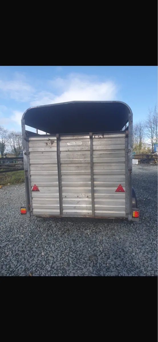 Iforwilliams cattle trailer - Image 4