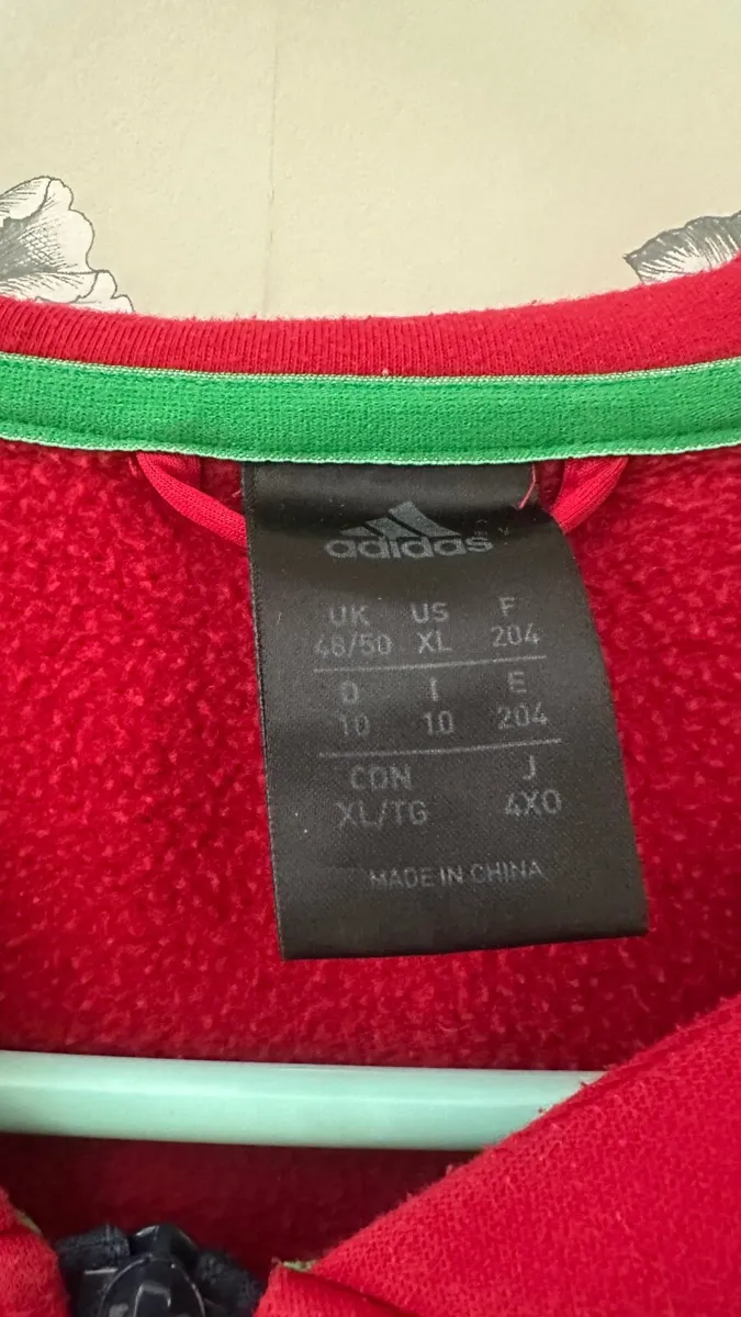 Lions rugby hoody xl - Image 3