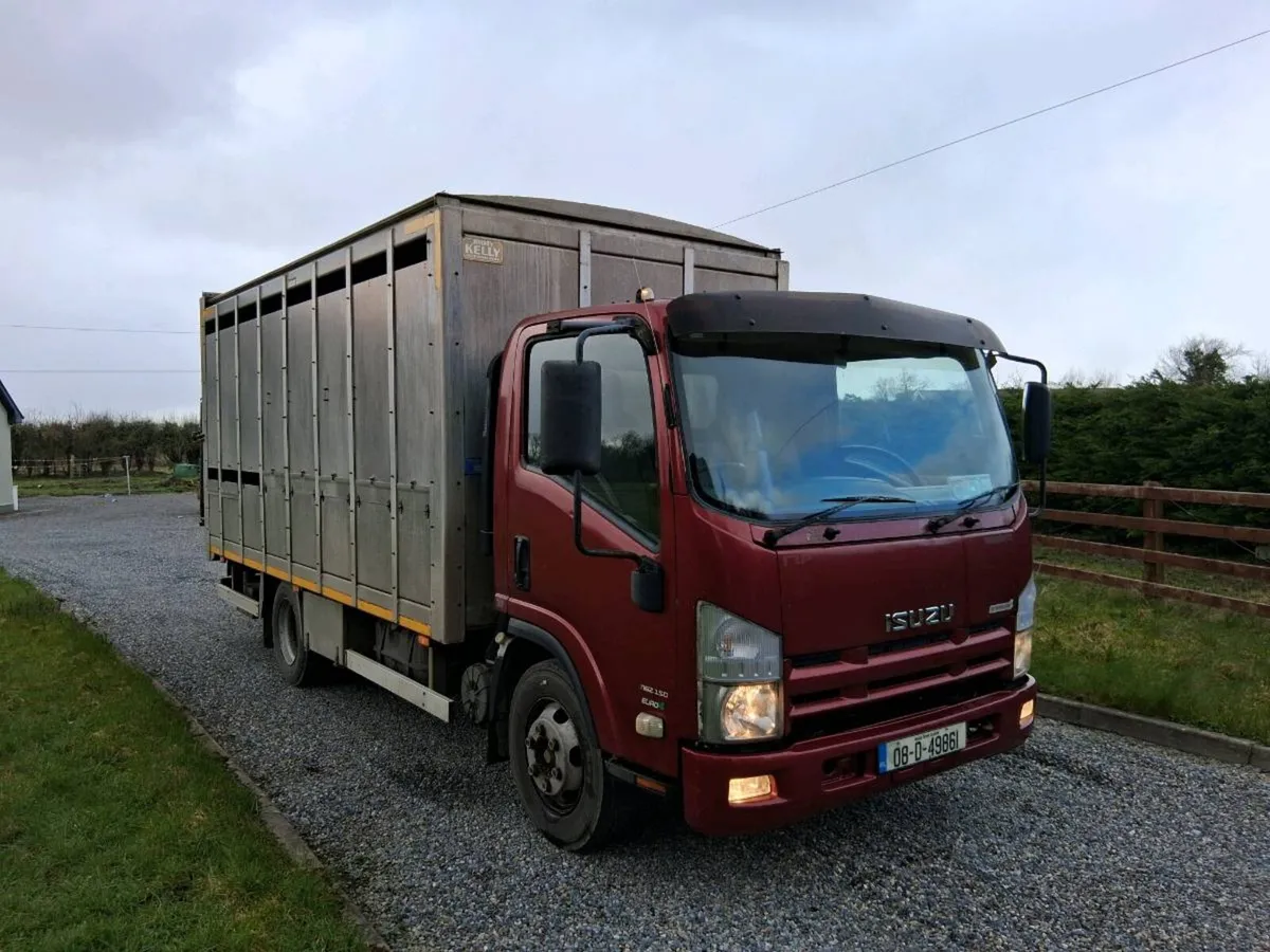 🔴ISUZU LIVESTOCK LORRY🔴 - Image 2