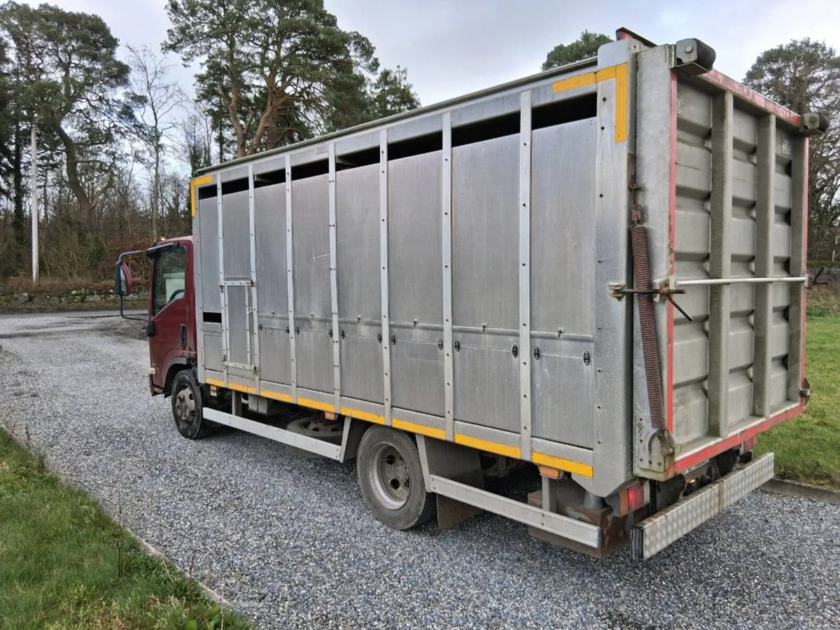 🔴ISUZU LIVESTOCK LORRY🔴 - Image 4