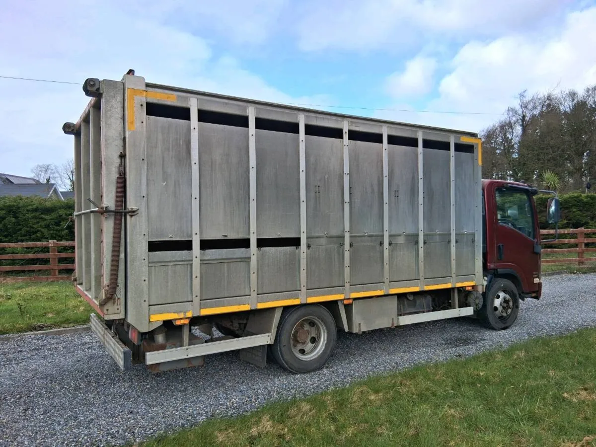 🔴ISUZU LIVESTOCK LORRY🔴 - Image 3