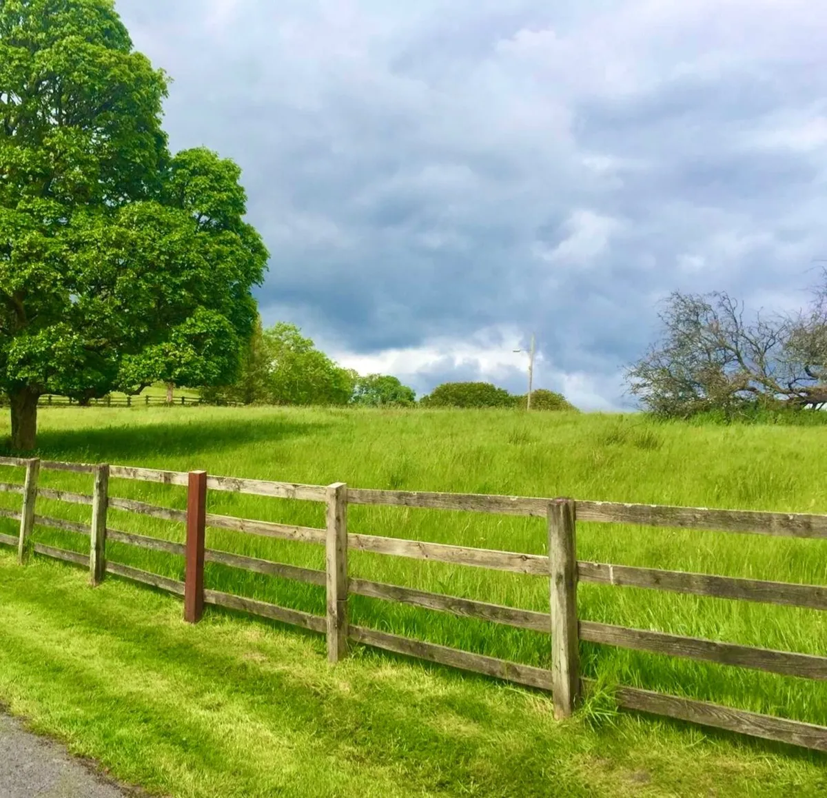 Farm to Let - Image 2