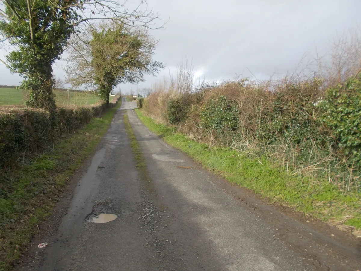 1.16 Acre Site in Shangarry, Ballingarry - Image 2